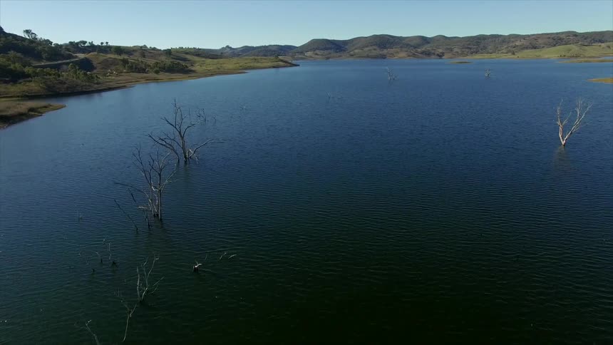 Trees are submerged in a lake