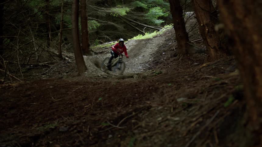 A person rides a bicycle in a heavily wooded area