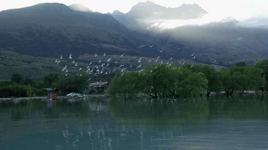 Flock of birds fly over the lake near the mountains