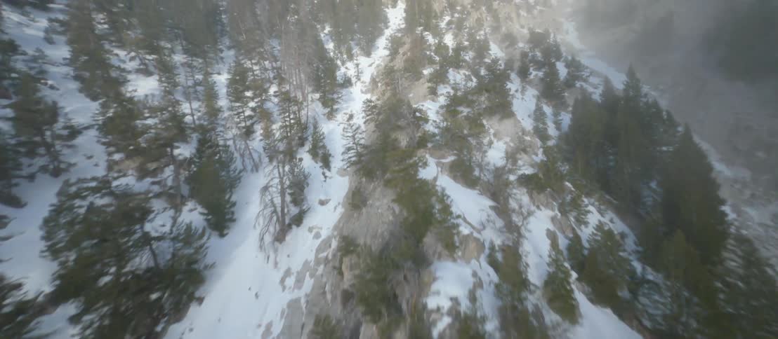Aerial view of conifer trees in snow and rocky mountain