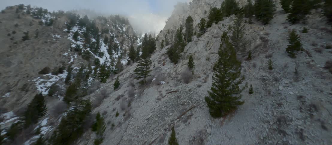 Aerial view of a foggy mountain slope with conifer trees