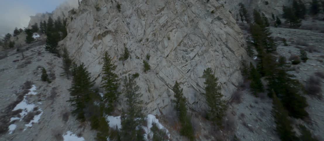 A dense forest covers the ground at the bottom of a canyon