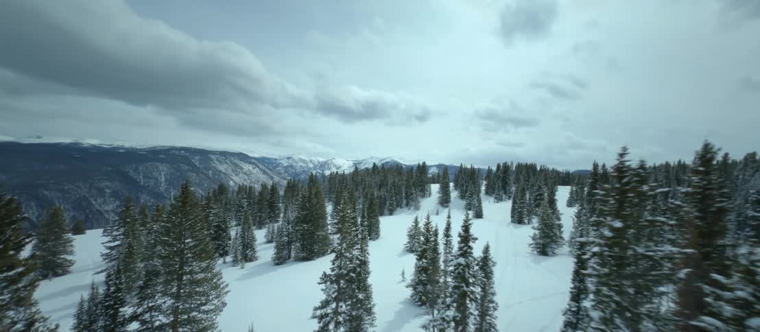 A thick blanket of snow covers the ground in a forest