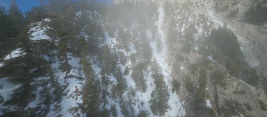 Aerial view of mountains and trees