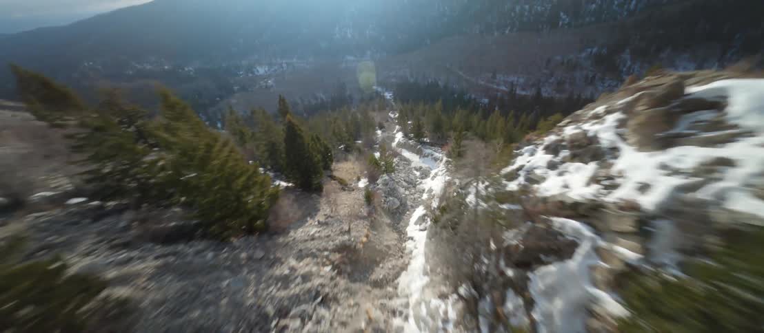 A slope of a mountain covered in trees gives way to a broad valley