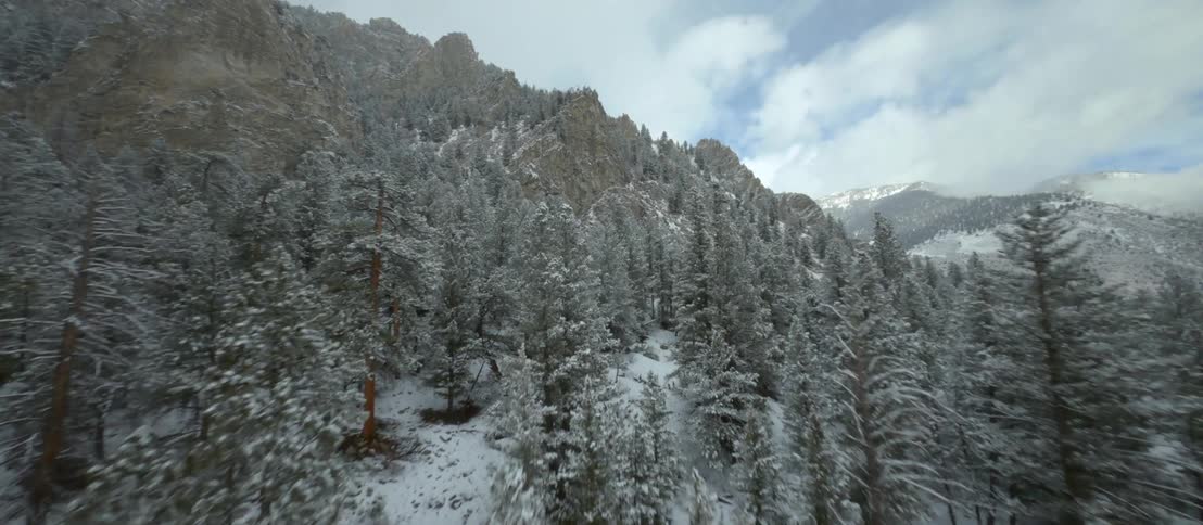A snowy forest covers the side of a mountain