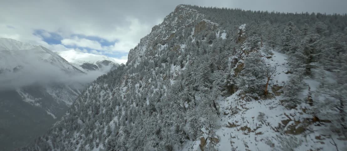 Snow covered trees and mountains under a cloudy sky