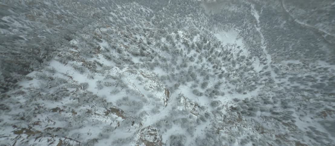 Aerial view of a snow covered forest