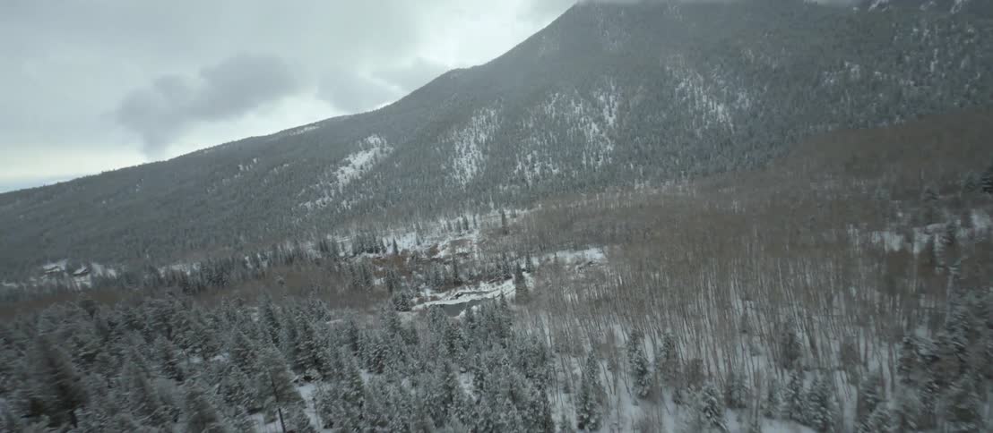 An snowy evergreen forest below on a mountain on a cloudy day