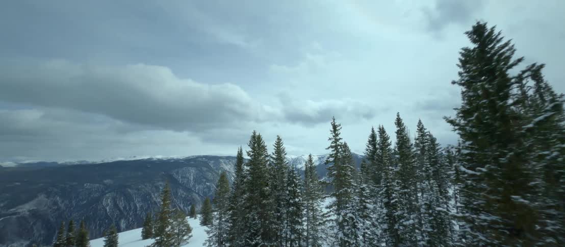 Aerial view of a snow covered forest and mountains
