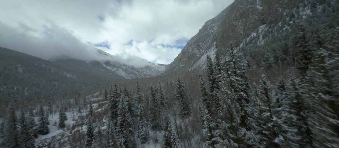 Aerial view of a pine forest in a valley between snow covered mountains