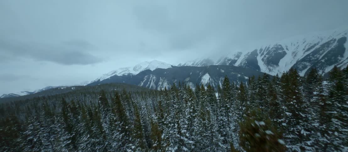The snow covered trees of an evergreen forest below a snowy mountain