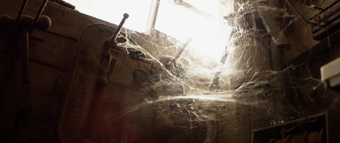 Cobwebs cover tools hanging from nails below a window in a workshop