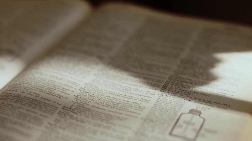 The sun shining on text in a book