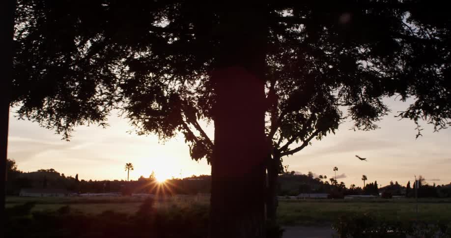 Landscape view of the sun setting over a field