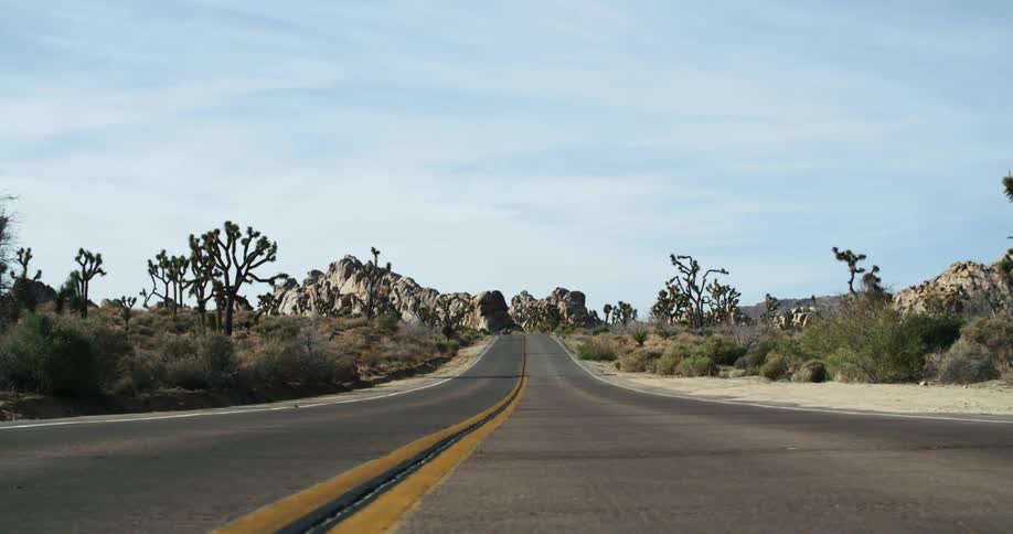 Landscape of a road with trees on either side