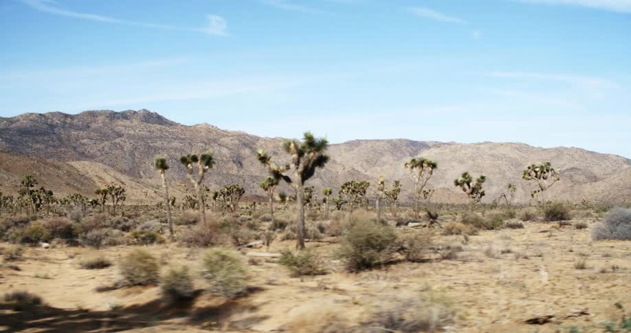 Arid scrub covered plain stretches to mountain range on the horizon