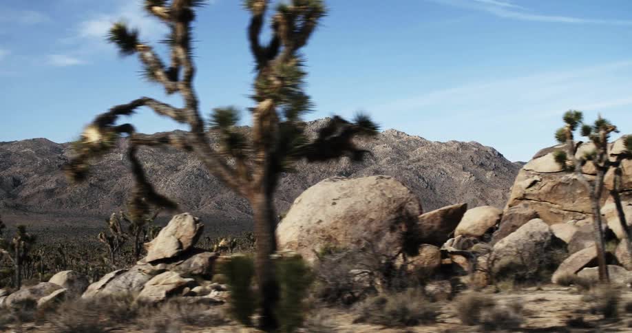 Rock formations and vegetation covering a vast arid landscape