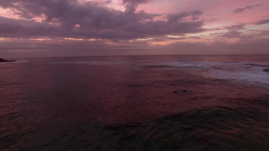 Dolphins can be seen swimming at sunset