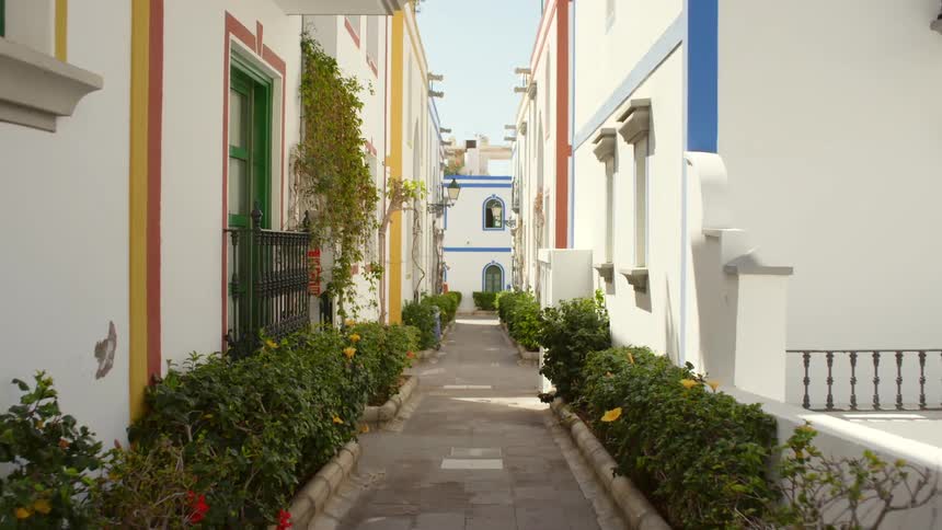 A bush lined pathway between white buildings with colorful outlines