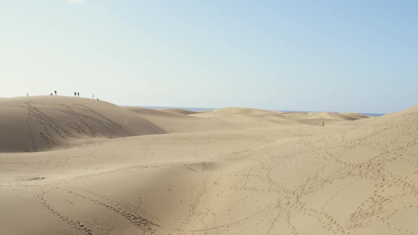Tracks on the sand in a desert
