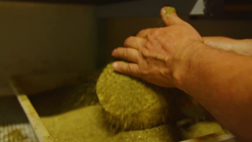 A person rubs spices on a piece of food