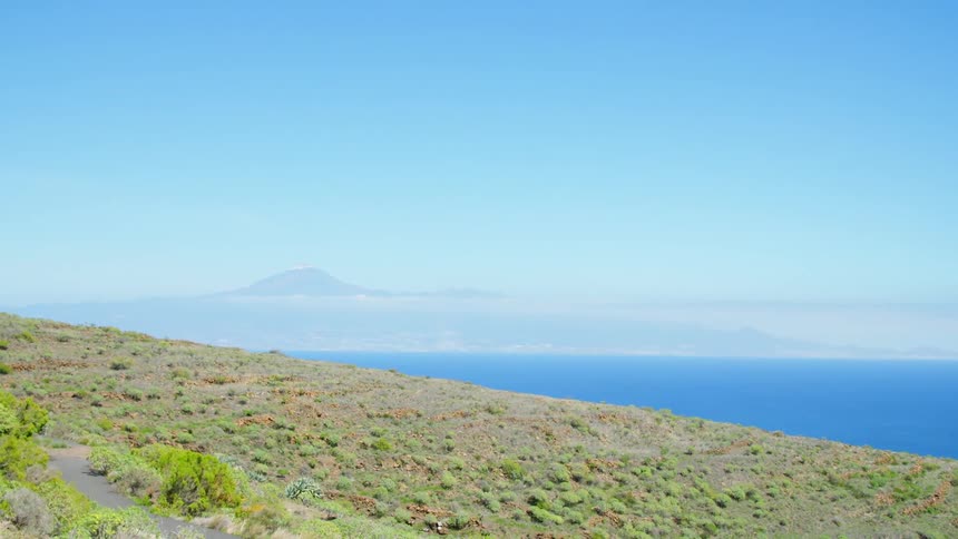 A grassy shoreline with bright blue water off it