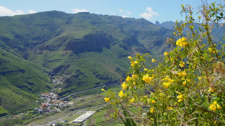 Mountains and floral bushes sit under a blue sky