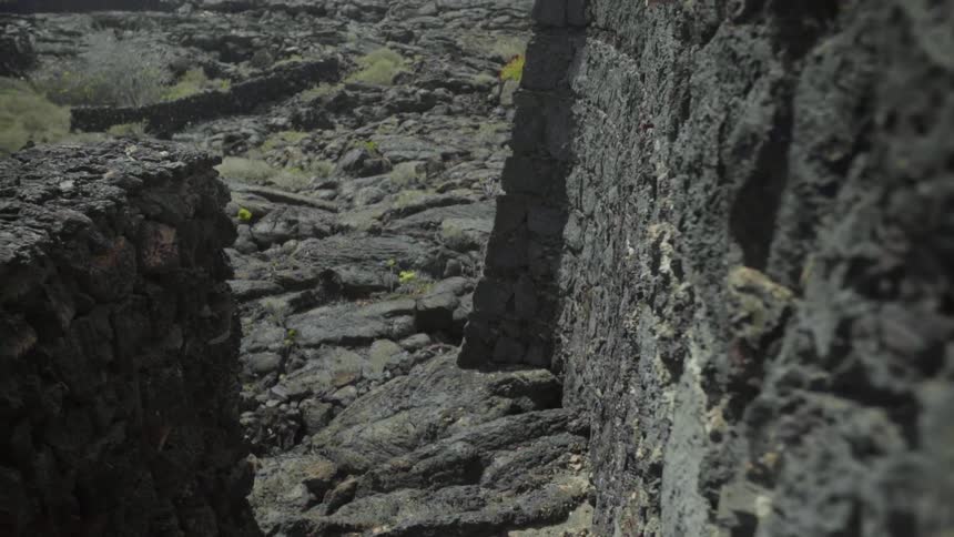 A stone wall standing on rocky terrain with vegetation poking through the cracks of rock and stone