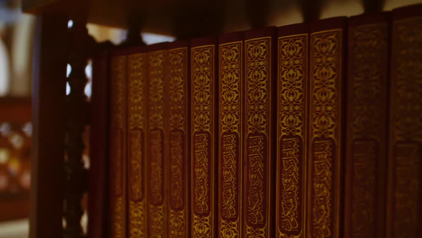 A row of books sit on a library shelf