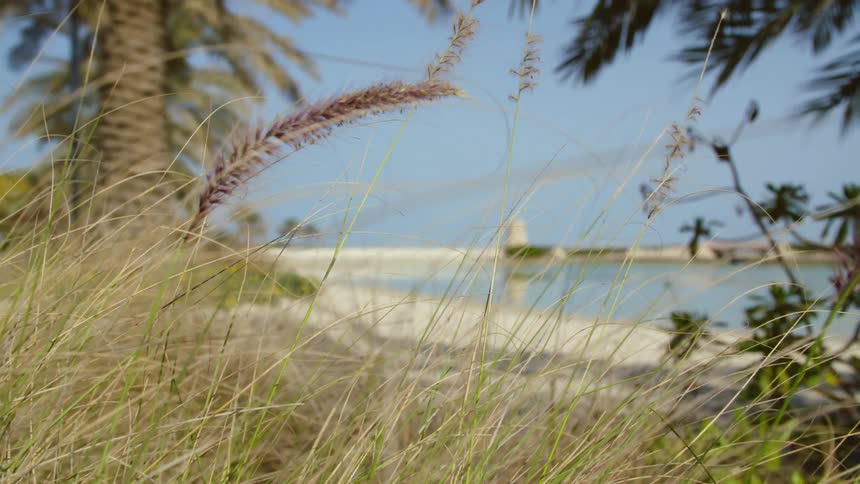Landscape view of a beach and the water