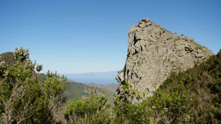 Close up view of a cliff with trees in front of it