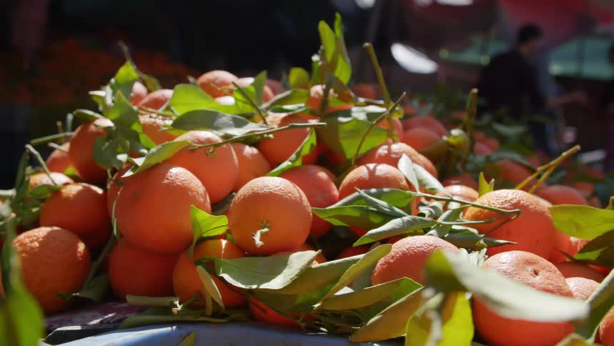 Pile of oranges on display at a farmers market