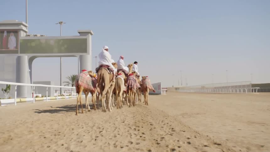 People riding camels in a desert