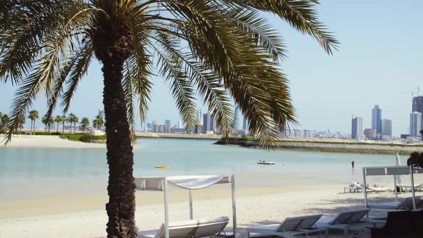 Palm trees on the sands of a beach near city skyline