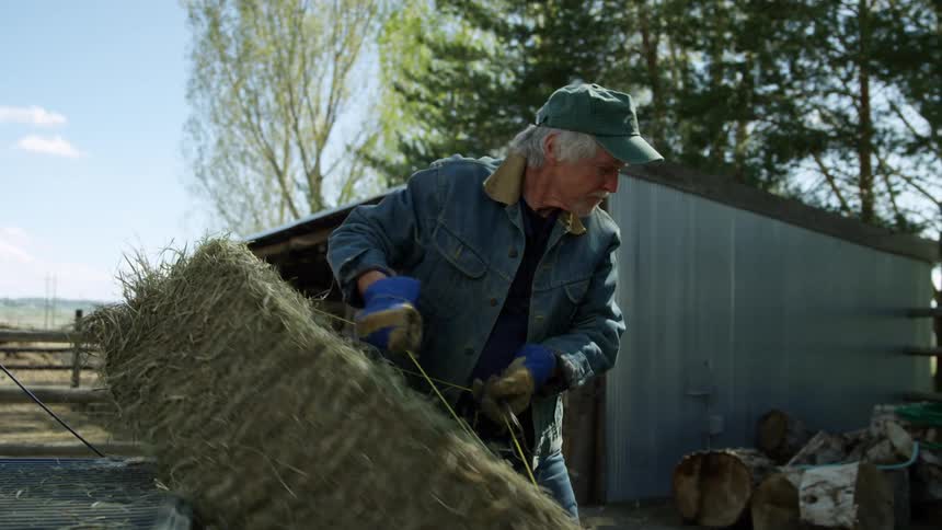 An elderly man moves bales of hay