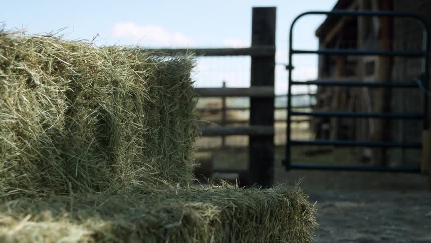 A bale of hay is thrown on a pile outside of a farmland barn