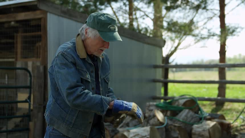 An elderly man lifts a hay bail and then rubs his aching hand