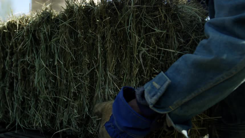 A person moves a hay bail
