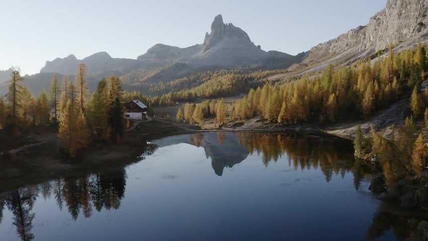Aerial view of calm lake waters near a pine forest close to mountain range