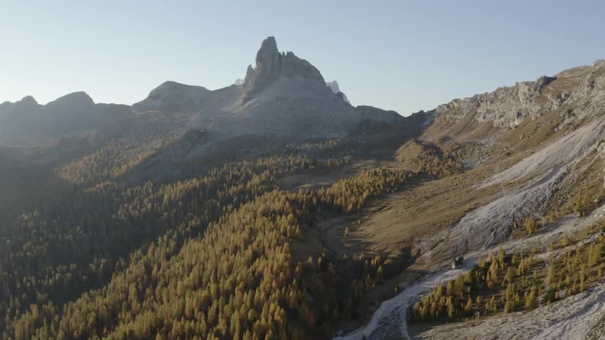 The tall trees are lining the mountain base