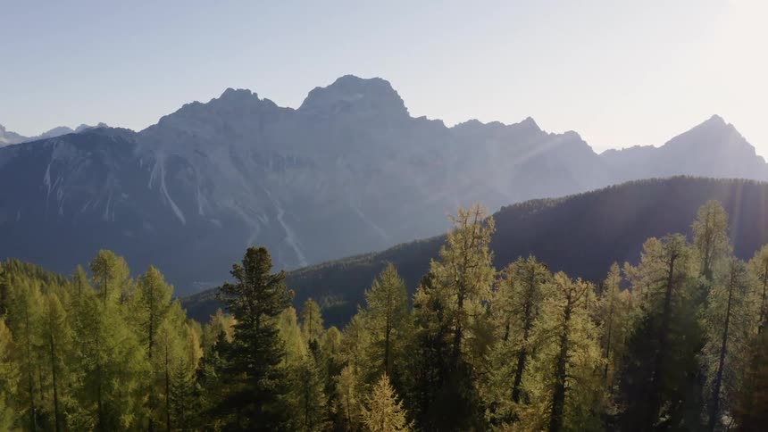 A forest with trees with mountains and the sky in the background
