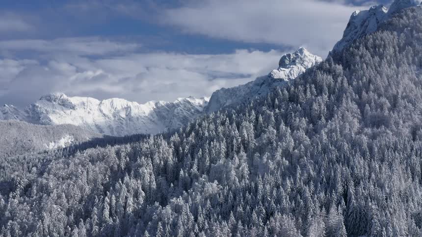 Aerial view of a snow covered forest and mountains