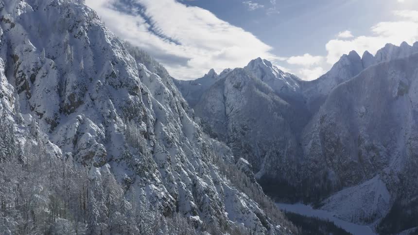 Aerial view of snow capped mountains slope down to pine forests