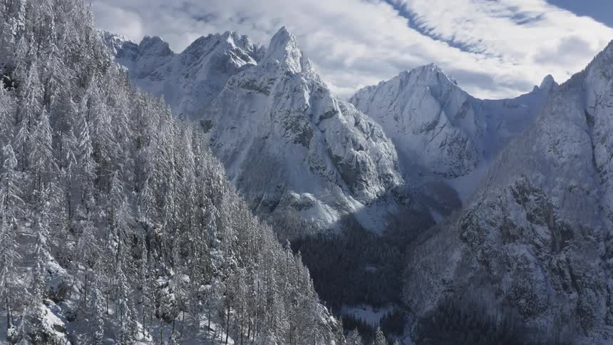 Aerial view of snow capped steep mountains and with a forest of conifer trees