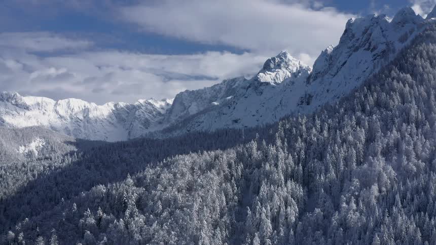 Aerial view of snow capped mountains of glacier seen in the distance with conifer trees
