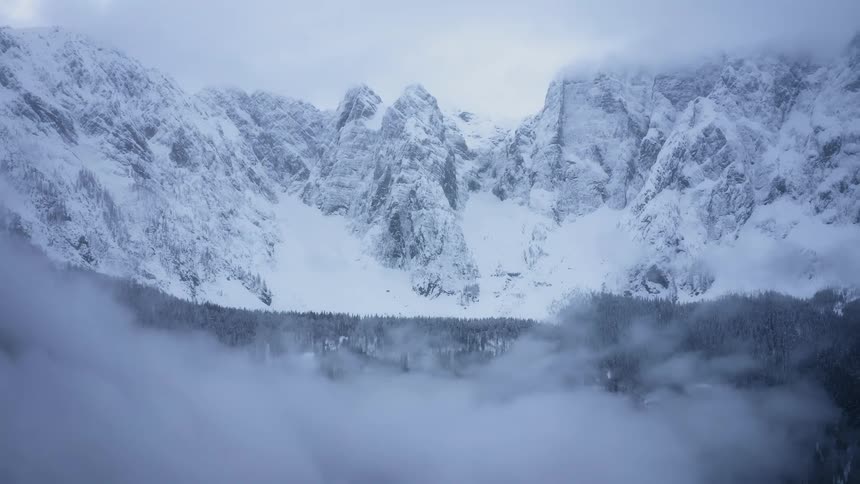 A forest fills a mountain valley in the winter