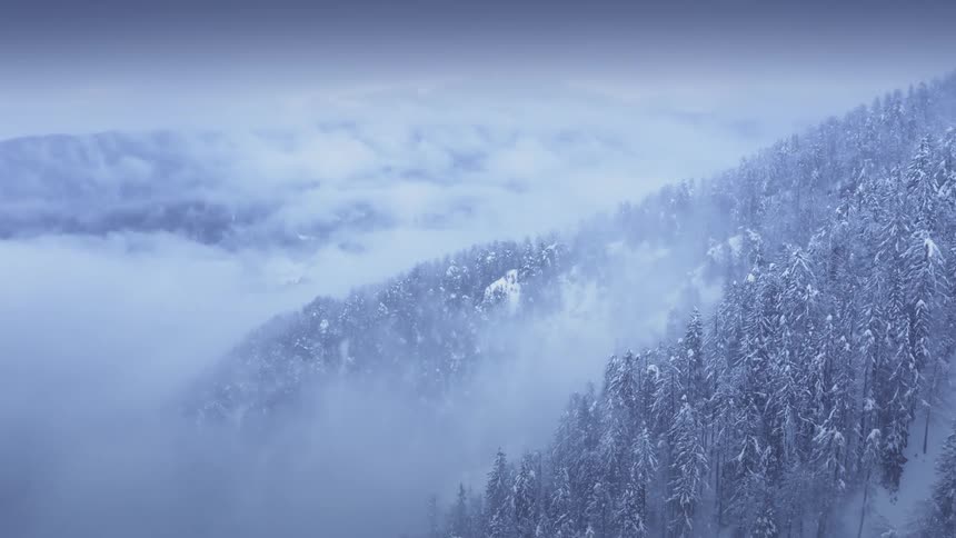 Aerial view of clouds over a snow covered forest