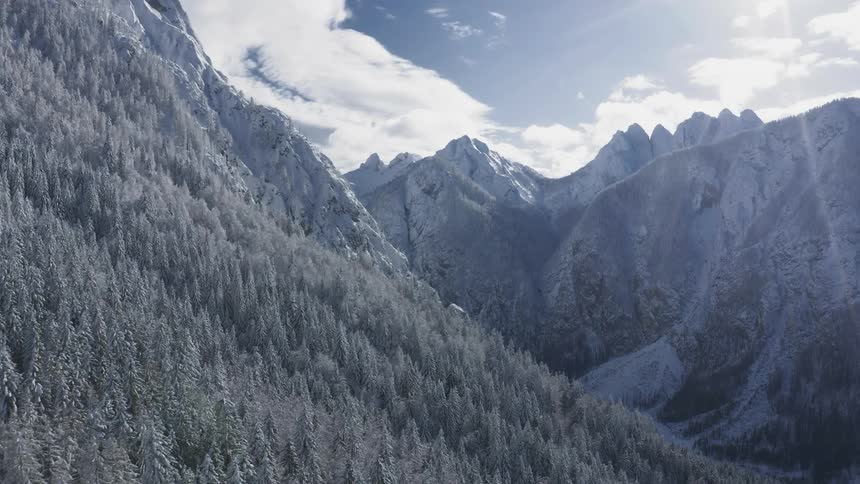 Aerial view of a high snow capped mountains covered with a forest of tall trees