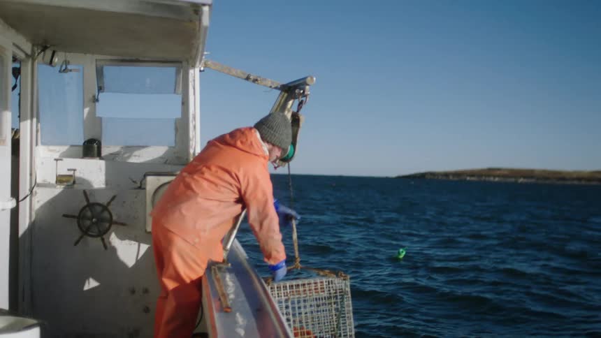 Fisherman lifts a cage from the ocean into a boat